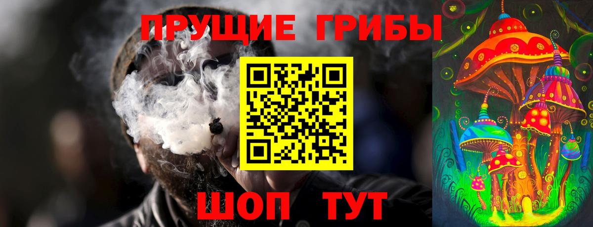 Мирный  Галлюциногенные грибы Psilocybine cubensis  Вход с VPN  Псилоцибиновые грибы Cubensis 